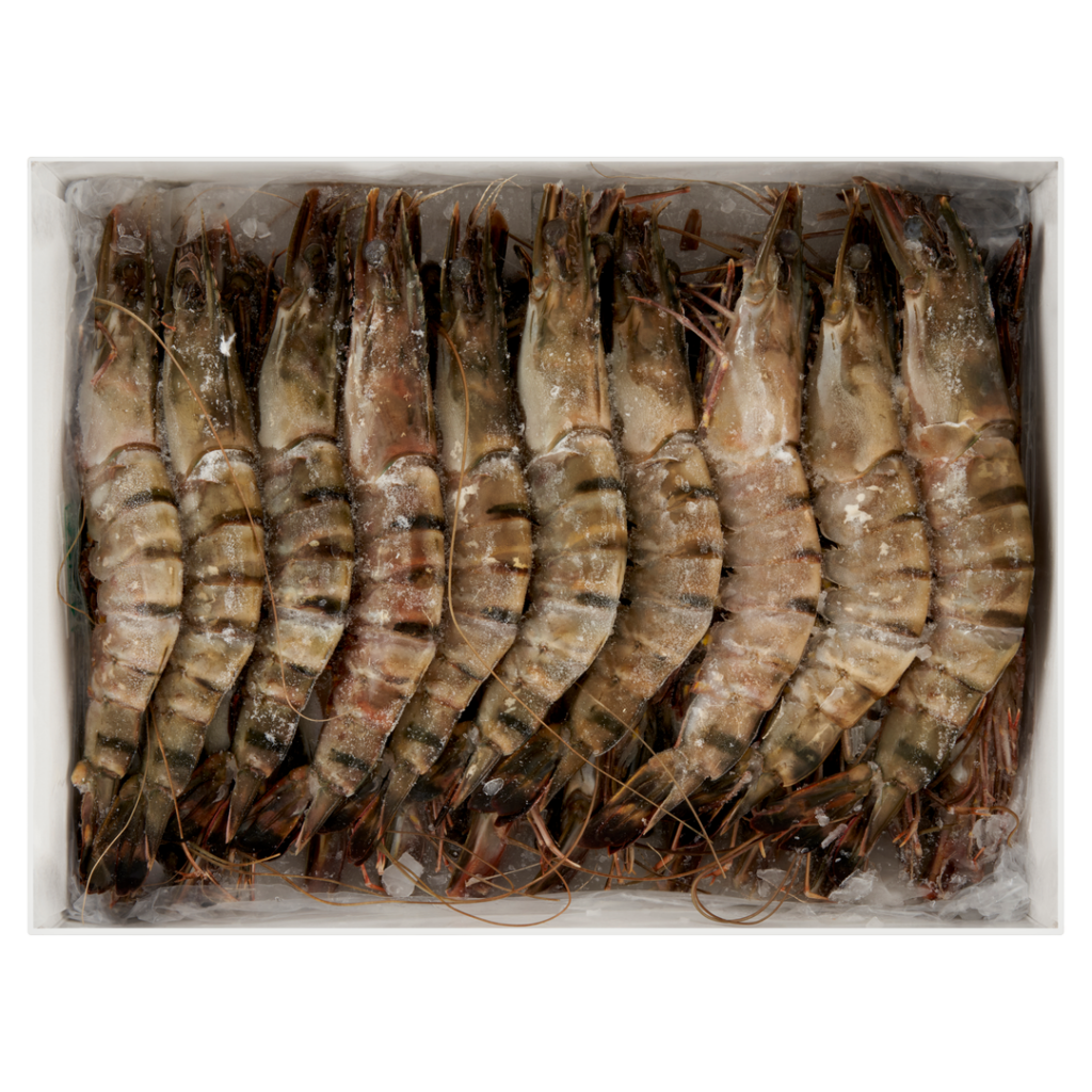 Black tiger 21/30, 25% glazúr