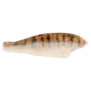 Fogasfilé, bőrös, 230/300g