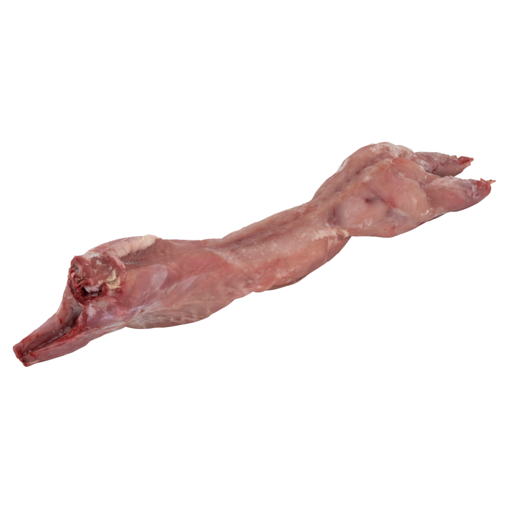 Házinyúl egész fej nélkül (fagyasztott)