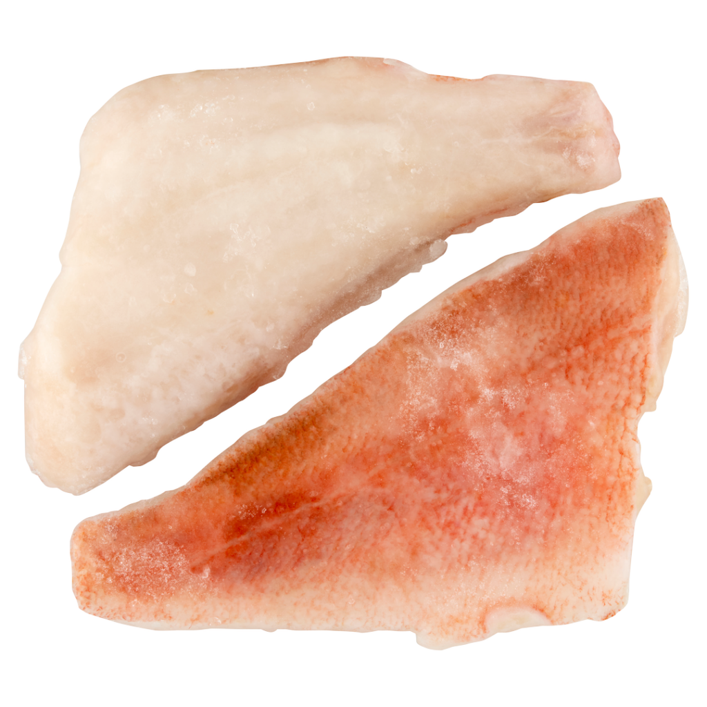 Tengeri vörös sügérfilé BŐRÖS