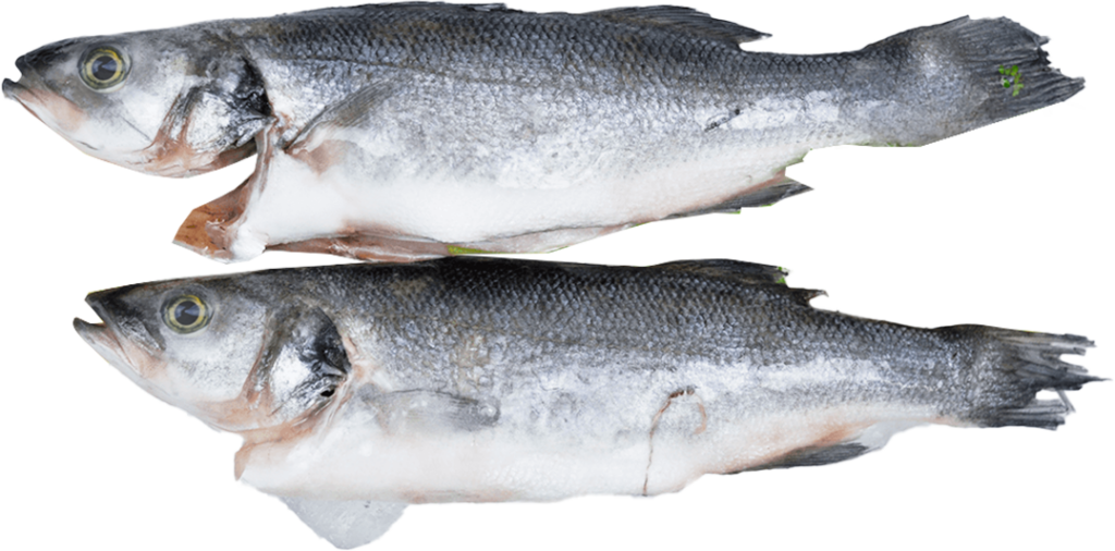 Branzino (tengeri sügér) 300-400g