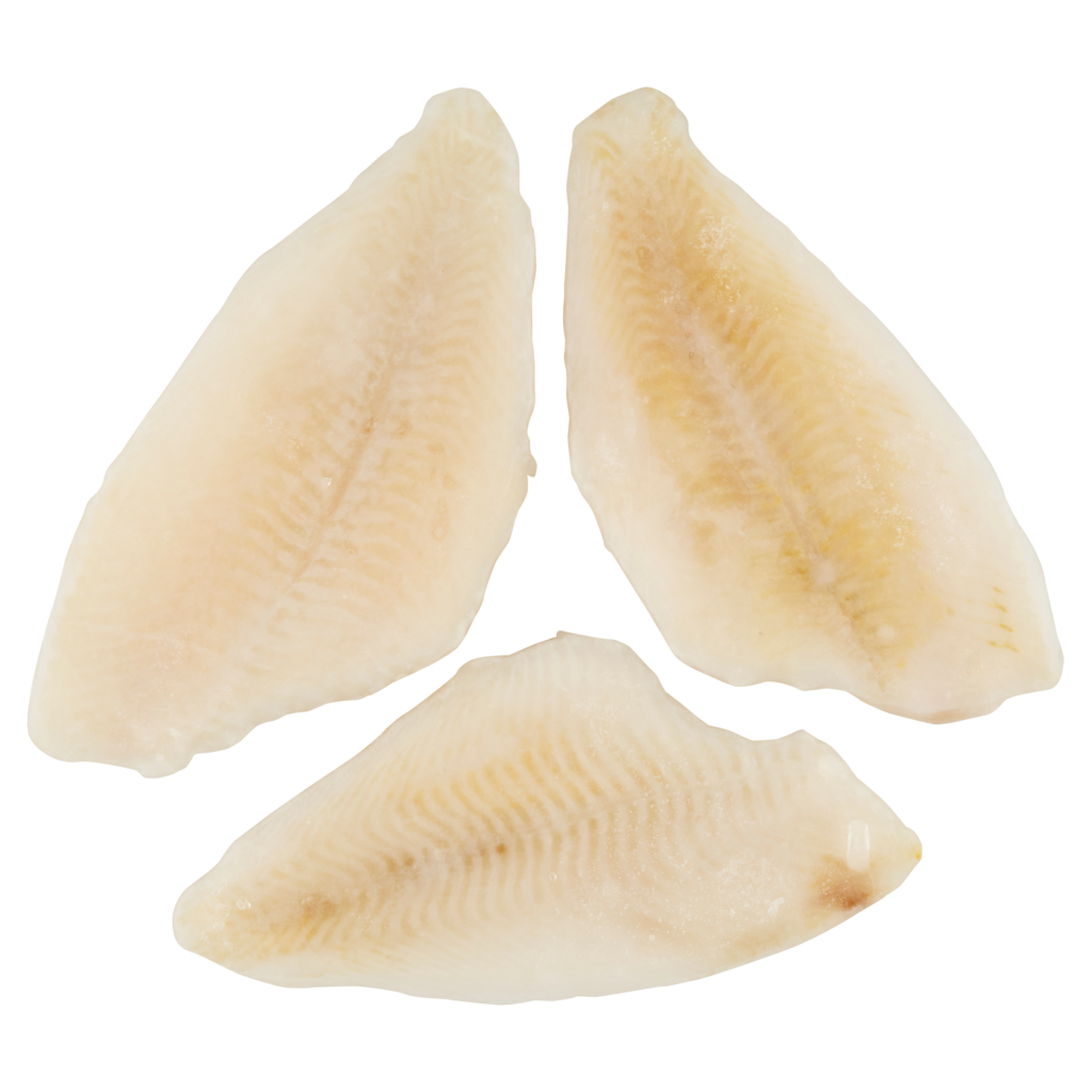 Lepényhalfilé (80/120)