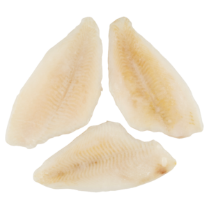 Lepényhalfilé (80/120)