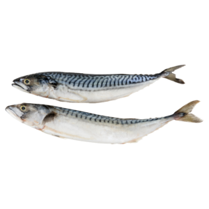 Makréla, egész 300-500g
