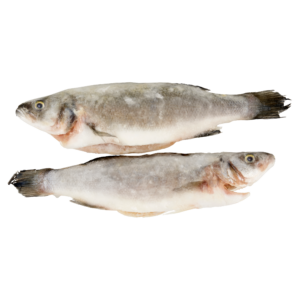 Branzino (Sea Bass) 400-600g