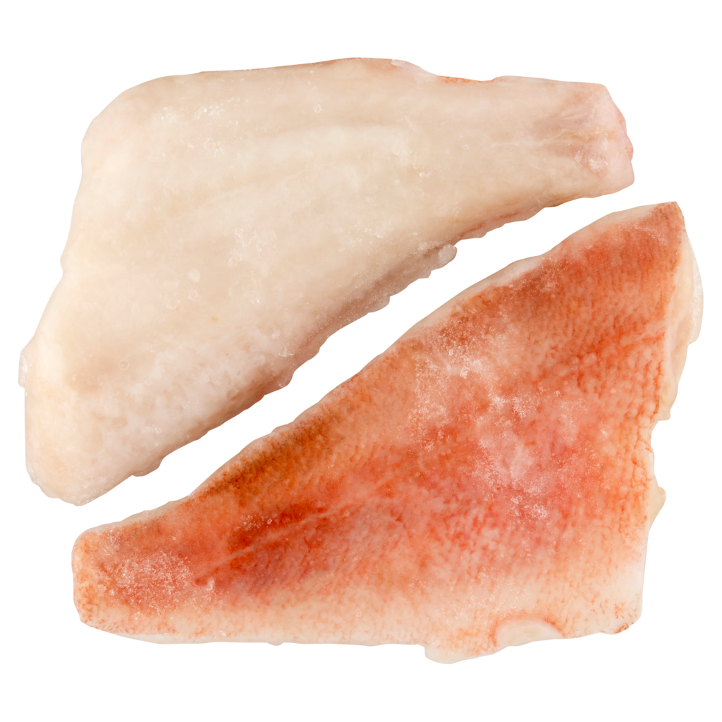 Tengeri vörös sügér-filé